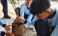 Resonansi Algoritma Pelajar Berdampak! PR IPM Spemda Singaraja Semarakkan Milad IPM ke-65 dengan Gerakan Menanam Pohon
