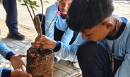 Resonansi Algoritma Pelajar Berdampak! PR IPM Spemda Singaraja Semarakkan Milad IPM ke-65 dengan Gerakan Menanam Pohon