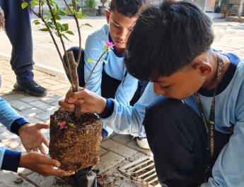 Resonansi Algoritma Pelajar Berdampak! PR IPM Spemda Singaraja Semarakkan Milad IPM ke-65 dengan Gerakan Menanam Pohon